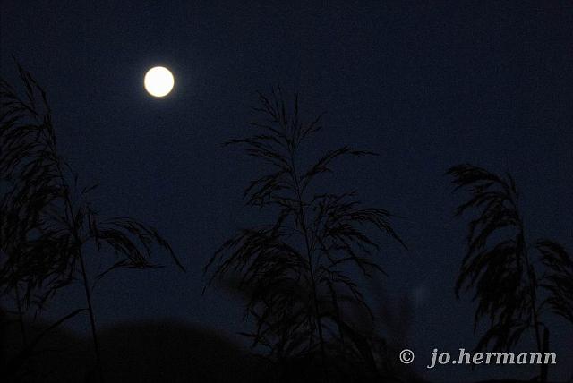 Mond im Oktober-009.jpg